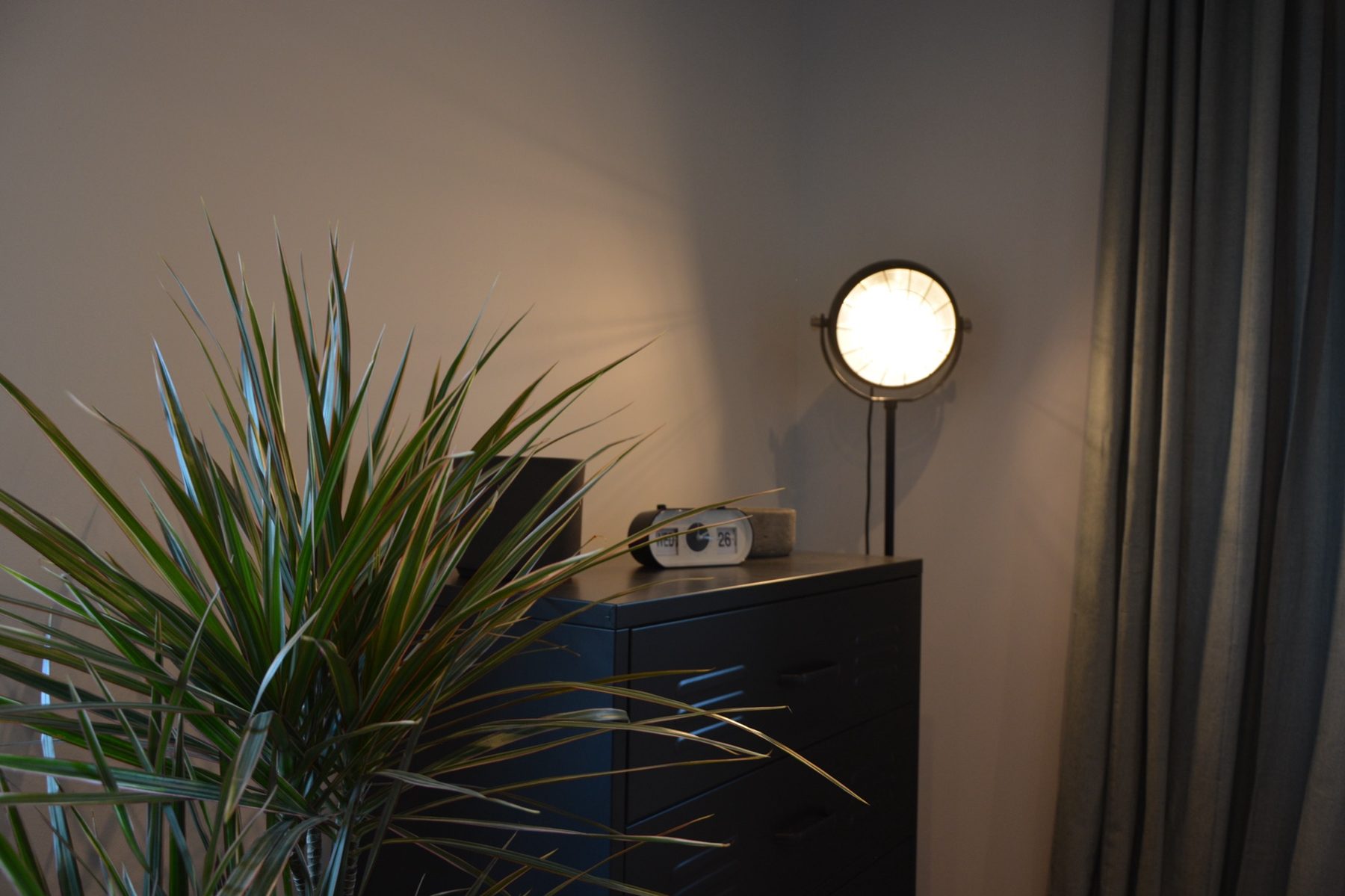 Detal - roślina i lampa globus